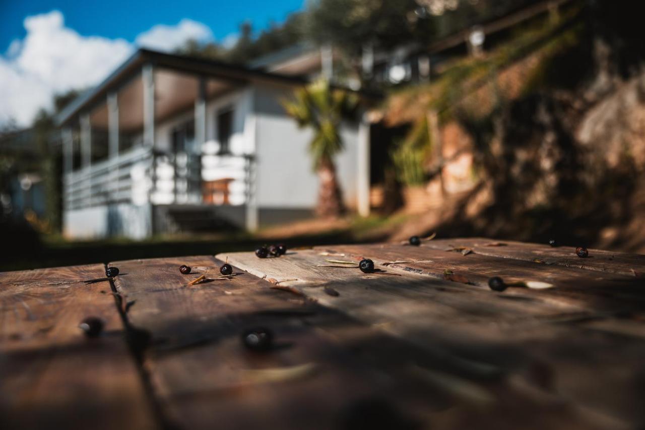 Agriturismo Rose Di Pietra Pietra Ligure Εξωτερικό φωτογραφία