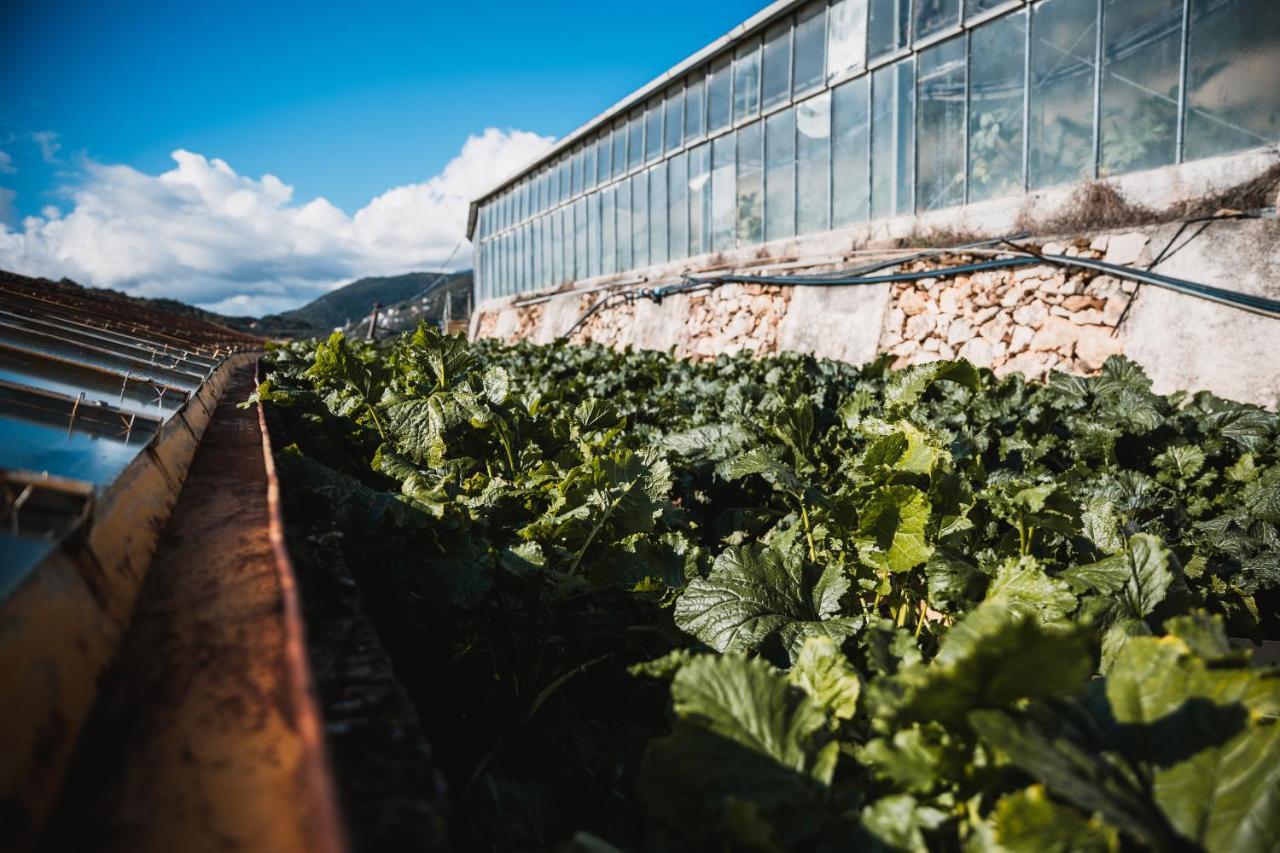 Agriturismo Rose Di Pietra Pietra Ligure Εξωτερικό φωτογραφία
